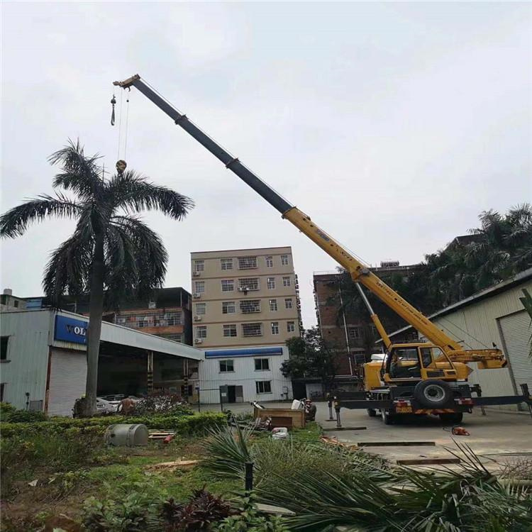 张金镇汽车吊出租多少钱？全面解析与市场行情