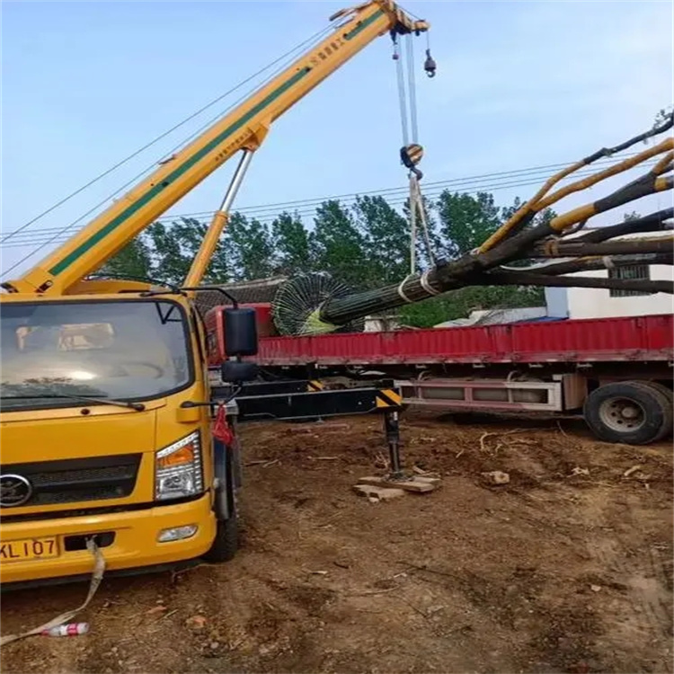 张金镇100吨吊车租赁费用怎么算？3大关键因素+省钱技巧全解析